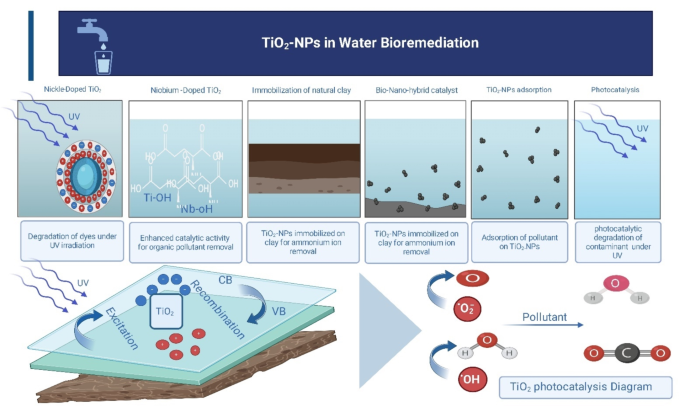 Dealing with Sticky Residue: How to Safely Remove Insect Remains and Organic Buildup from Titanium Dioxide Plates