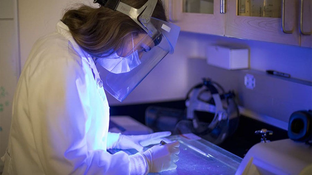 The Endless Flicker: A Deep Dive Into the Hidden Causes of UV Lamp Startup Problems