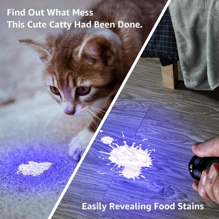 The Invisible Map: Why Every Cat Parent Needs a UV Flashlight