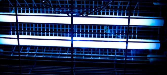 Outdoor Mosquito Zapper Got Wet and Short-Circuited? Emergency Repair Solutions You Need to Know