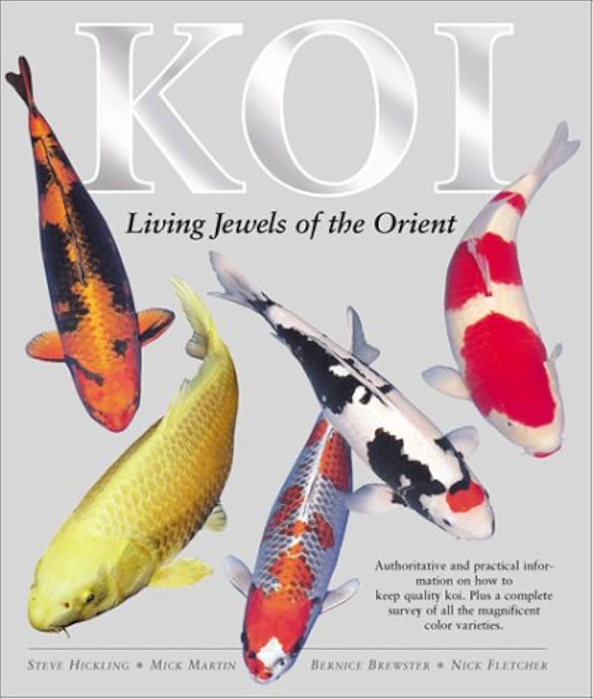 Koi Fish Personality and Behavior: How Well Do You Really Know Your Living Jewels?