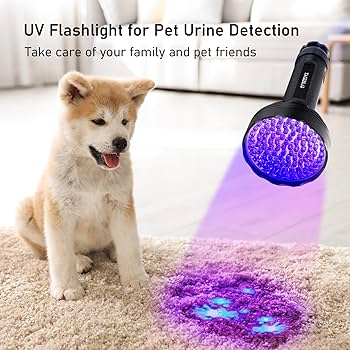 Ultraviolet: Friend or Foe? A Comprehensive Guide to UV Lights and Your Pet’s Health