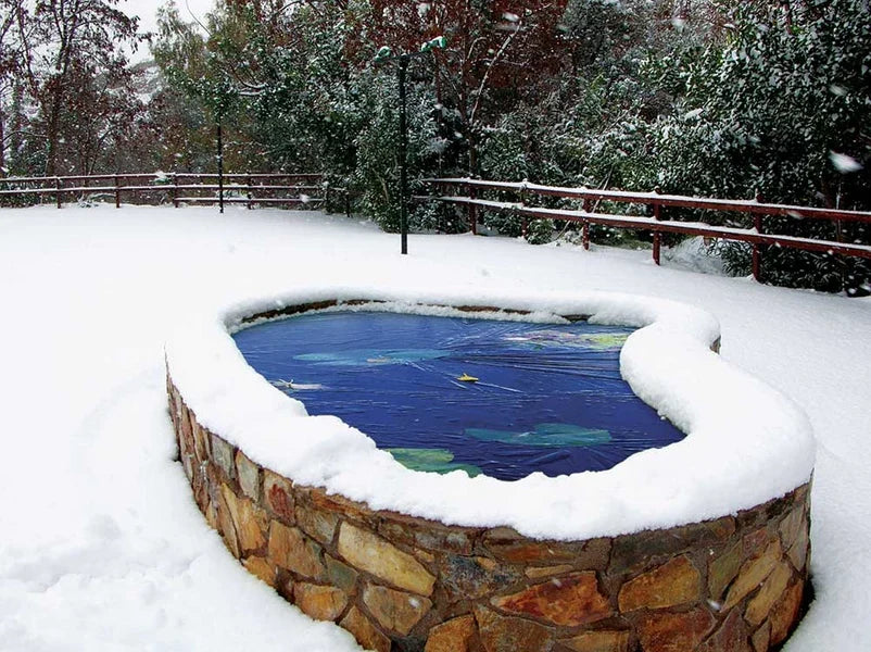 Outdoor Fish Tank Winter Protection Guide: How to Build Insulated Covers, Ice-Free Vents, and a Safe Cold-Weather Setup