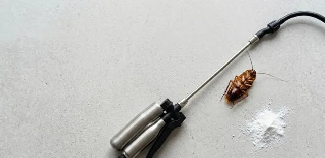 Build Your Outdoor Insect Defense Arsenal: How to Adjust Protection Levels for Different Environments