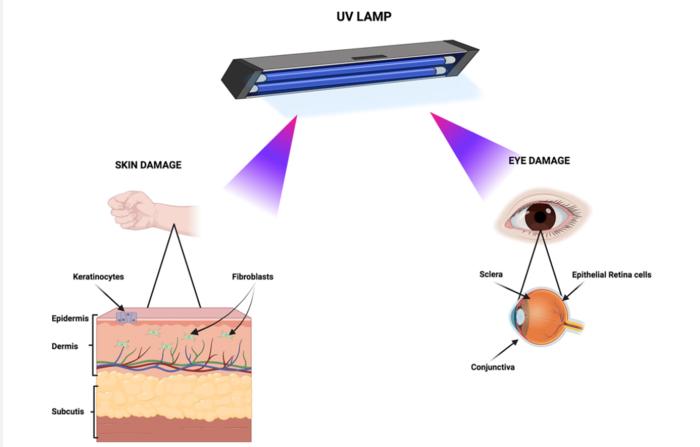Safety First Five Essential Protection Measures You Must Know When Using UV Germicidal Lamps