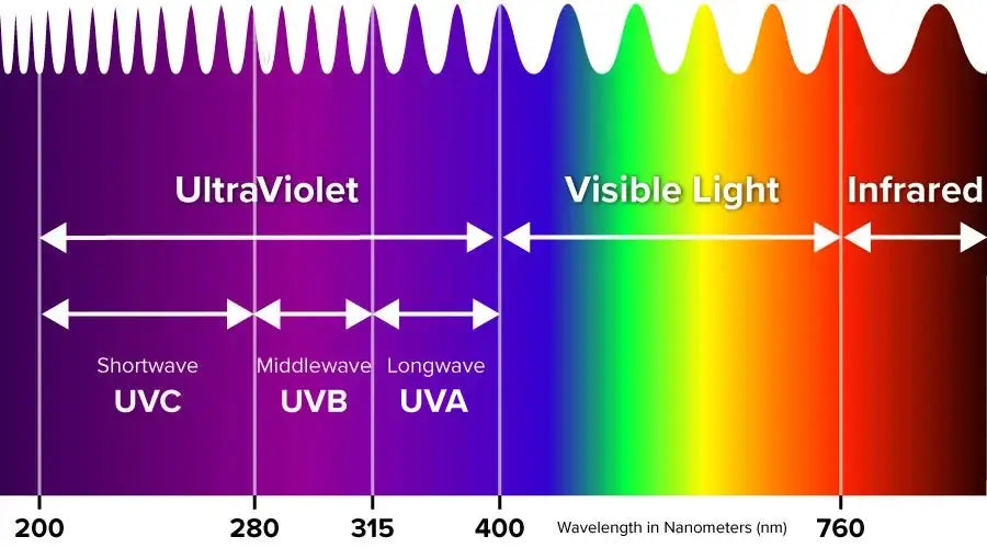 The UV Paradox: Can Overexposure Shorten Your Pet’s Lifespan?