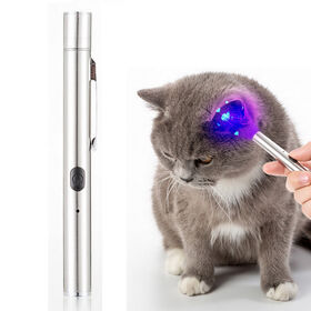 Cat Ringworm Nightmare? Practical At-Home Detection Tips Using a Wood’s Lamp (UV Filter Lamp)