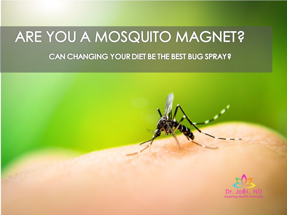 Not Just Brushing It Off: When and How to Give Your Mosquito Magnet a Full-Season Deep Clean