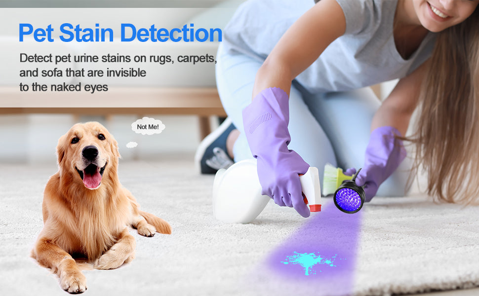 Black Tech or Overhyped Gadget? A Real-World Review of Popular UV Pet Odor Eliminators