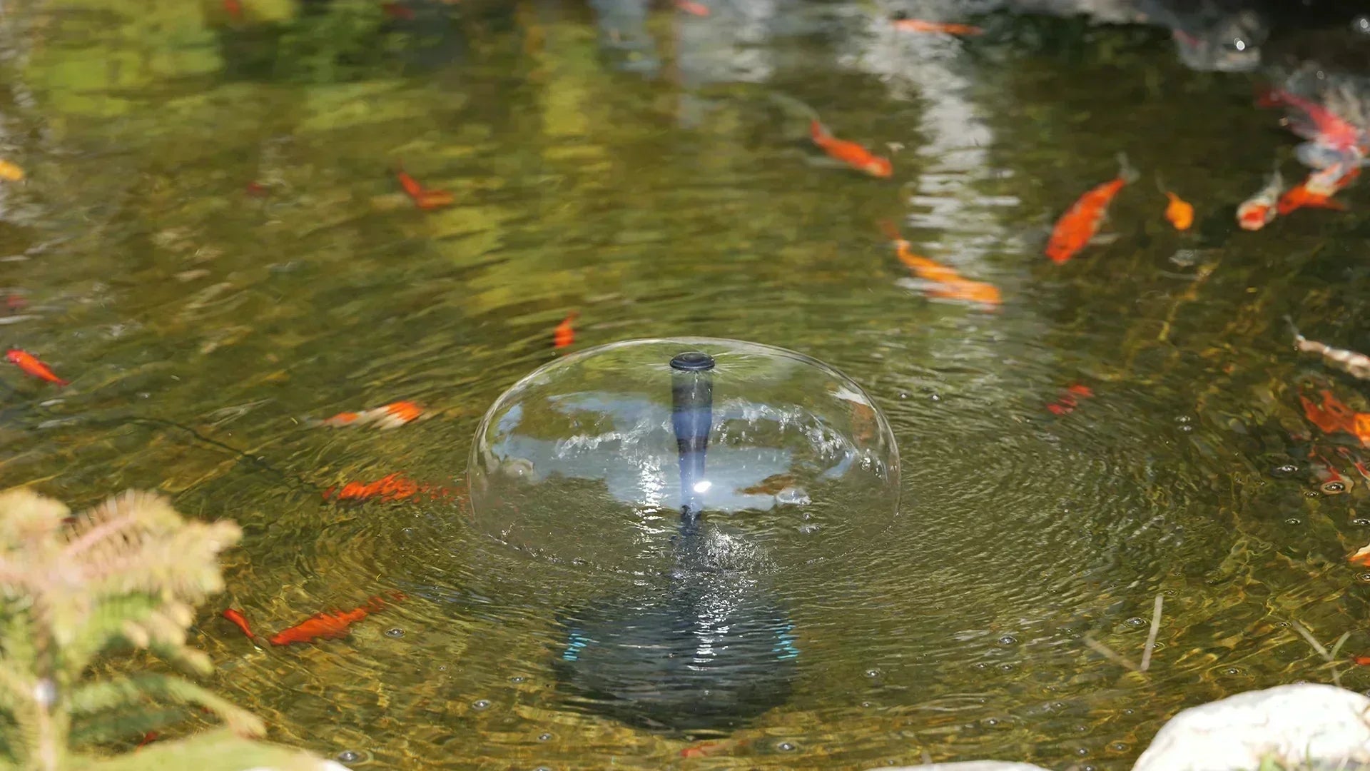 Mechanical Filtration vs. Biological Filtration: The Core Logic Behind Keeping a Fish Pond Crystal Clear