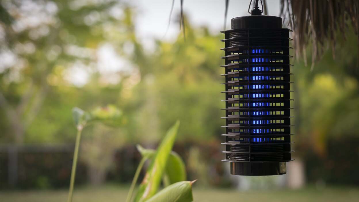 The Great Budget Hack: Stop Buying New Bug Zappers Every Year and Start Maintaining Them