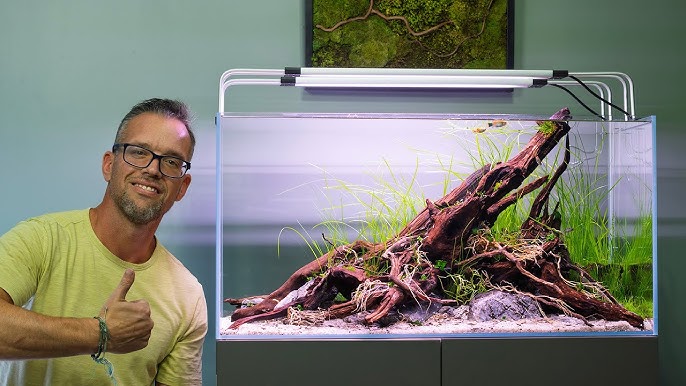 Beautifying Aquarium Heater Casings: How to Make Your Equipment Blend Seamlessly Into Your Aquascape