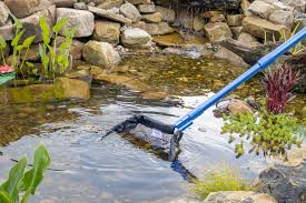 The Koi Pond Maintenance Toolkit: Professional-Grade Cleaning Equipment for Every Budget