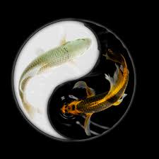 The Feng Shui Significance of Koi Fish: Why They Symbolize Good Luck and Wealth