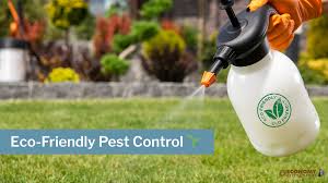 Eco-Friendly Cleaning Methods: Natural Solutions That Won’t Drive Away Future Insect Control