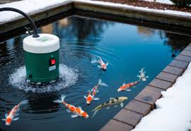 How to Keep Your Koi Warm: Smart Temperature Control for Healthy, Happy Fish