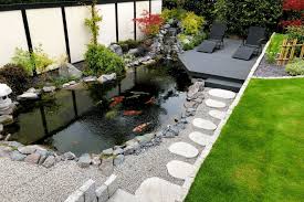 The Joy of Koi: Your Step-by-Step Guide to Creating a Thriving Home Pond