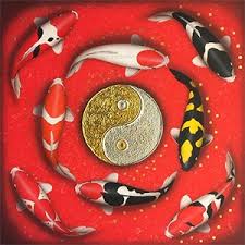 Koi Capitalists: How Fortune 500s Are Hacking Wealth With Living Feng Shui