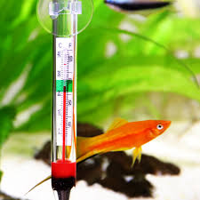 Specialized Applications of Heating Rods in Marine Aquariums Why Temperature Control Is Critical in Saltwater Systems