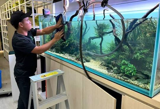 Aquarium UV Sterilizer Maintenance Checklist: Daily, Monthly, and Annual Care Tips