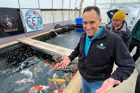 Decoding Koi Royalty: The Secret Rulebook of International Championship Judging
