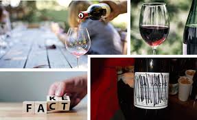 Wine Fraud Exposed: Infrared Spectrometers Detect Counterfeit Bottles in Seconds