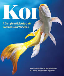 Beginner’s Must-Read: The Complete Guide to Koi Keeping