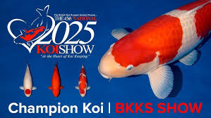 Koi Show Mastery: The $150,000 Perfection Pipeline for Championship Exhibitions