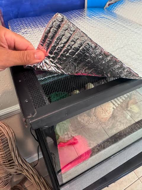 Do Foam Boards and Bubble Wrap Really Work? Testing DIY Materials for Aquarium Insulation