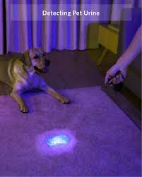 Got a Mischievous Pet at Home? How UV Blacklight Lamps Instantly Reveal Hidden Urine Stains in Your Carpet