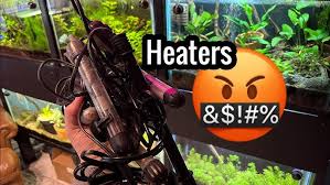 Why Your Aquarium Heater Isn’t Heating: A Complete Guide to Fast Diagnosis & Fixes