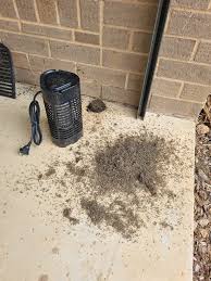 How to Clean a “Clogged” Electric Grid in a Mosquito Lamp: Restore Zapping Power Instantly