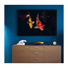 Living Water Energy: Koi Placement in Residential Feng Shui