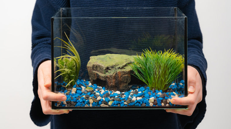 DIY Transformations: Turning Old Aquarium Heaters into Stunning Tank Decorations