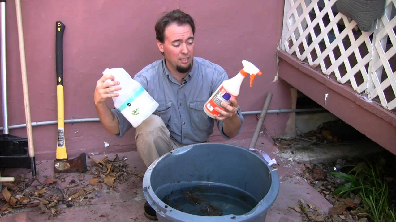 Post-Storm Cleanup: How to Restore Your Outdoor Mosquito Trap After Heavy Rain and Mud Splash