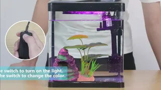 Betta Fish Tank Self Cleaning Glass 2 Gallon Small Nano Aquarium Starter Kits Desktop Room Decor wLE