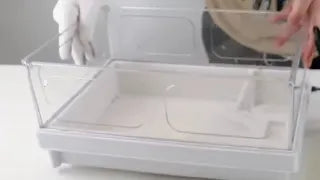 Small Fish Tank 2 Gallon Glass Aquarium Starter Kits Self Cleaning wColorful LED Light for Betta Shr