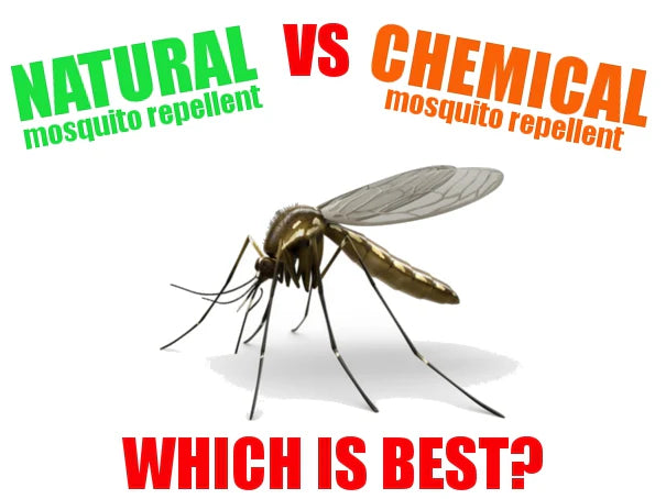 Physical vs. Chemical Mosquito Repellents: A Comprehensive 6,000-Word Comparison