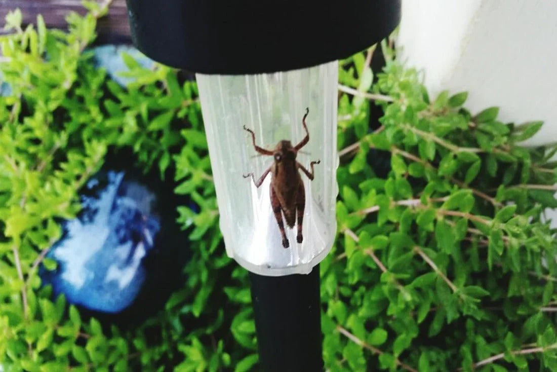 Is Your Ultrasonic Mosquito Repeller Not Working Anymore? A Deep Teardown Guide Explaining Why Internal Cleaning Matters