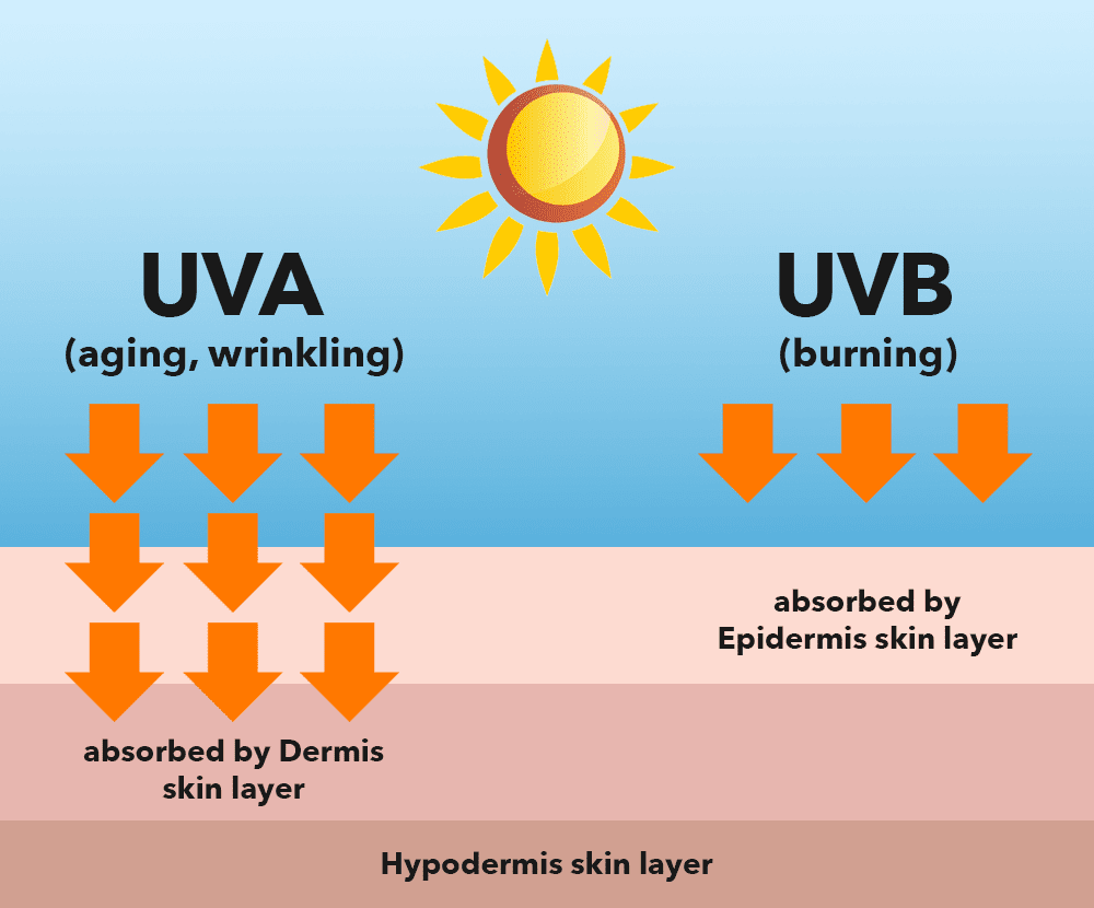 The Science Behind UV Damage: Why Are Our Skin and Eyes So Vulnerable?