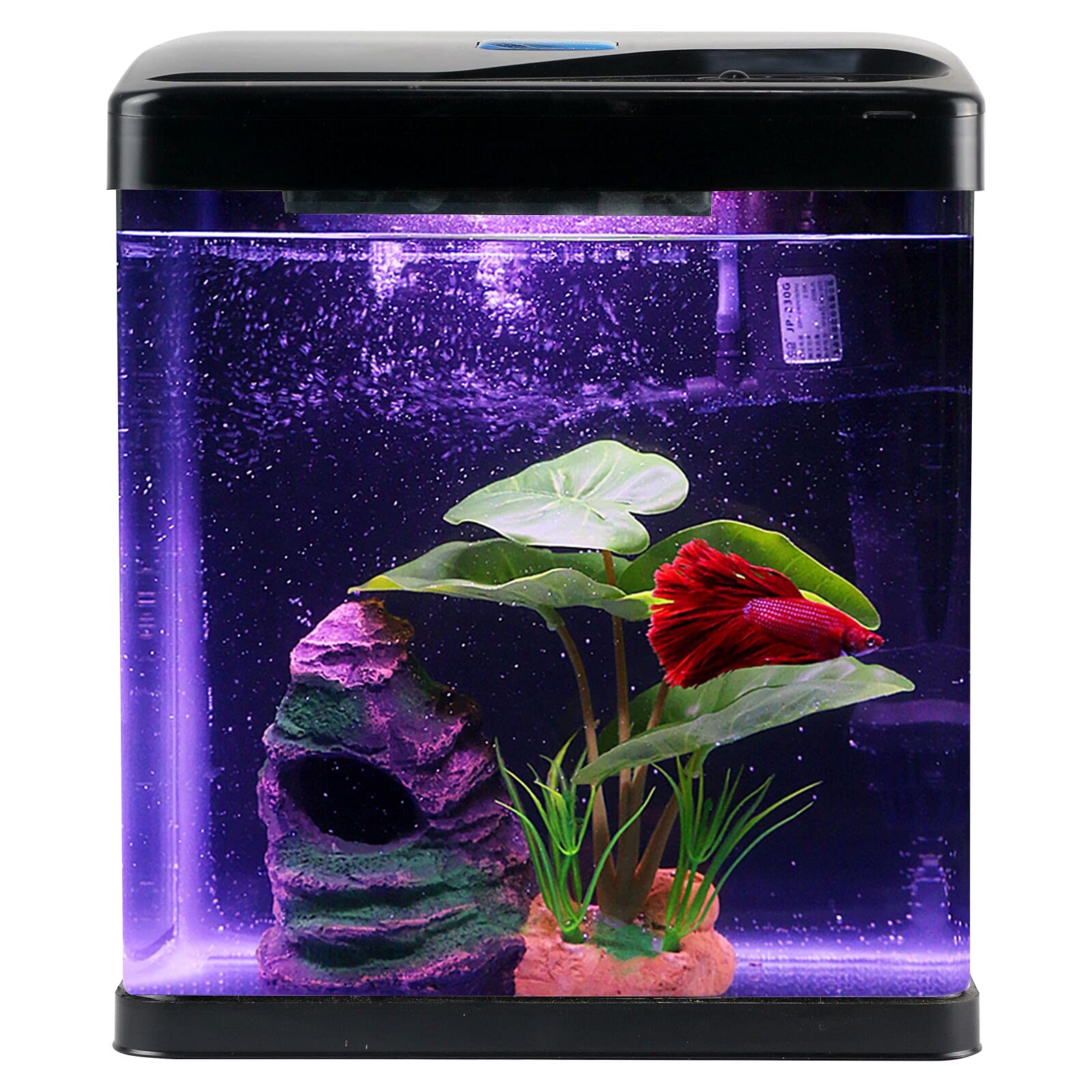 Betta Fish Tank Self Cleaning Glass 2 Gallon Small Nano Aquarium Starter Kits Desktop Room Decor wLED Light Decorations & Whisper Filters Water Pump (Fish Tank)