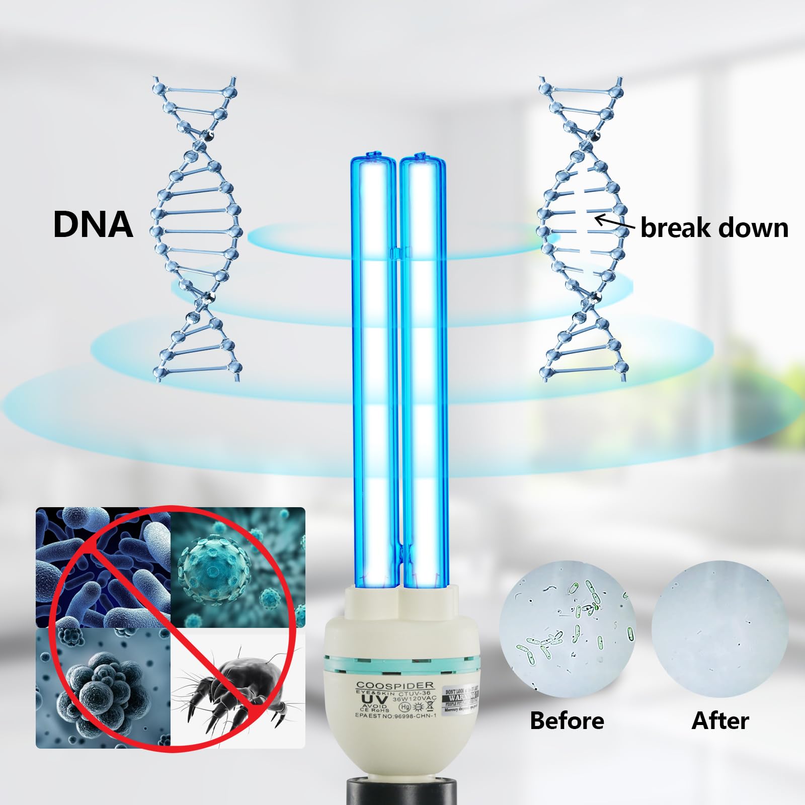 COOSPIDER UV Germicidal Light Sterilization rate 99.99% Remote Control Timer 15/30/60 minutes 120V 36W Table Lamp,for Remove Musty (Ozone-free CTUV-36)