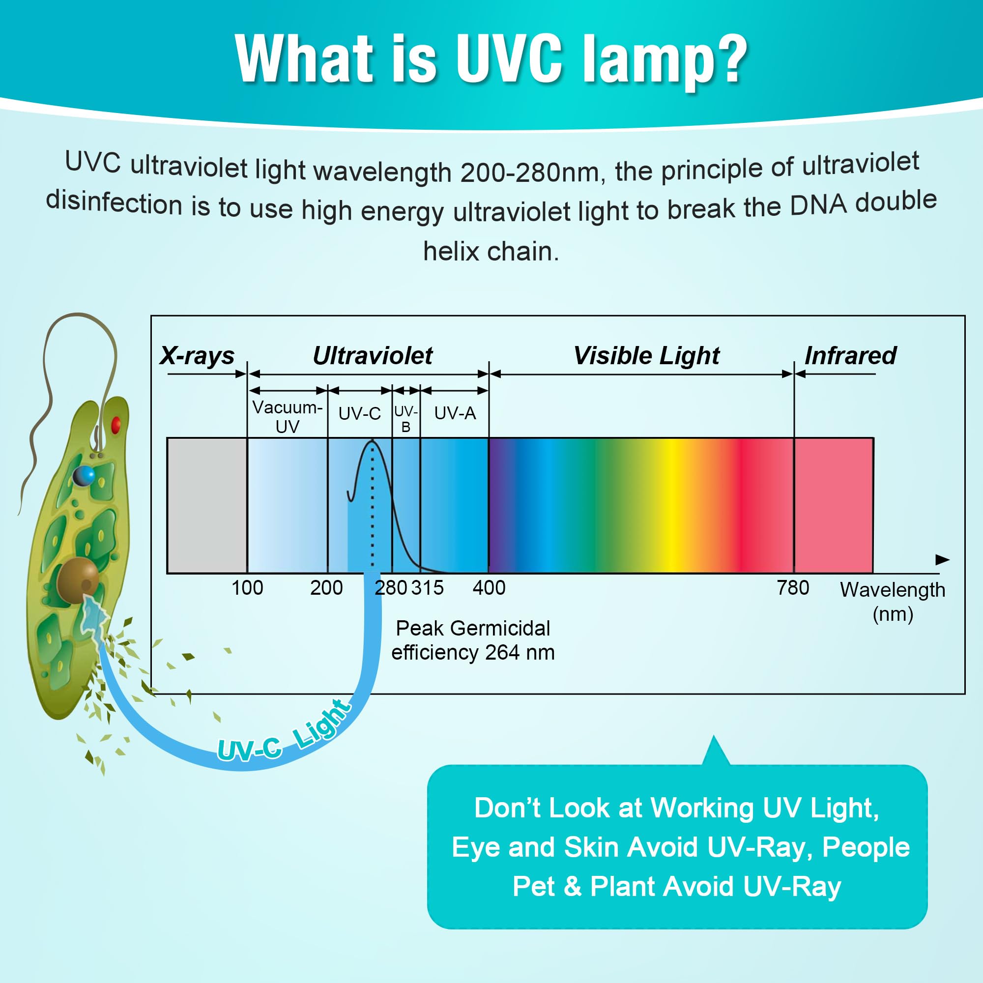 UVC Germicidal Lamp 110V 6W UV-C Bulb Light with 5ft Cord and Plug Cover up to 100 sq. ft. Room (Ozone-free)