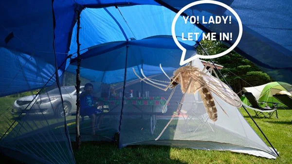 The Ultimate Guide for Camping Enthusiasts: 5 Ways to Build a 360-Degree Outdoor Mosquito Barrier