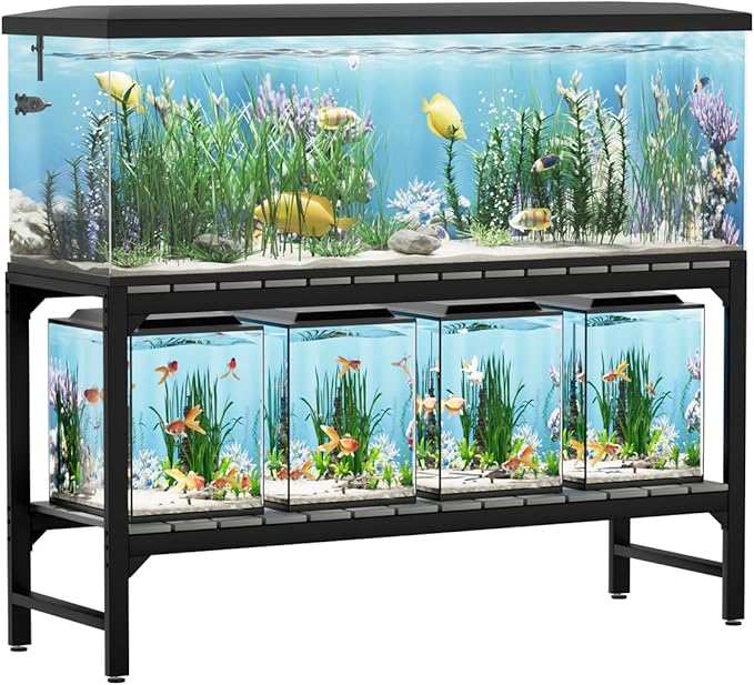 The 10 Most Popular Aquariums of 2025: Innovation Meets Aquatic Artistry