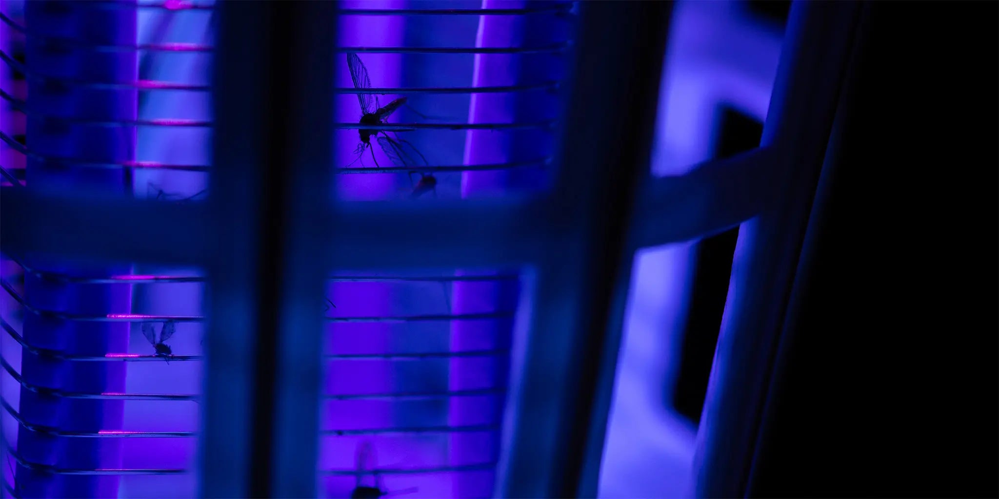 Do Mosquito Killer Lamps Really Work on Moths and Flies? A Real-World Test and Complete Guide