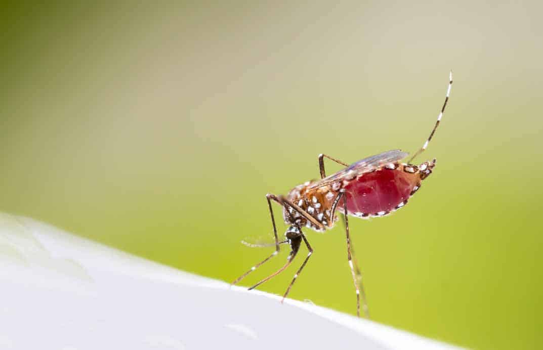“Stop Thinking About Unit Price”: How to Evaluate the Long-Term Return on Investment of High-End Smart Mosquito Control Systems