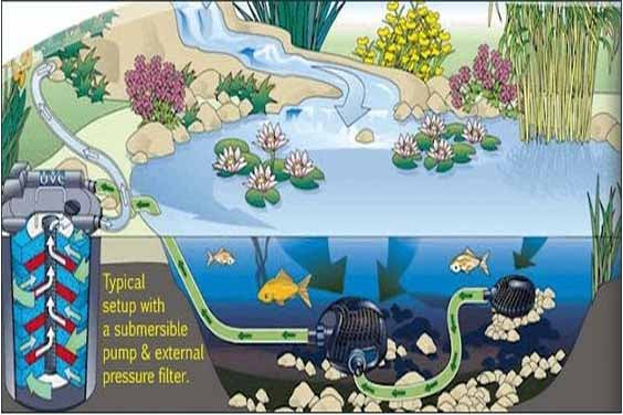🐟 Koi Pond Filtration Systems Explained: A Beginner’s Guide to Choosing the Right Setup (and Avoiding Costly Mistakes)