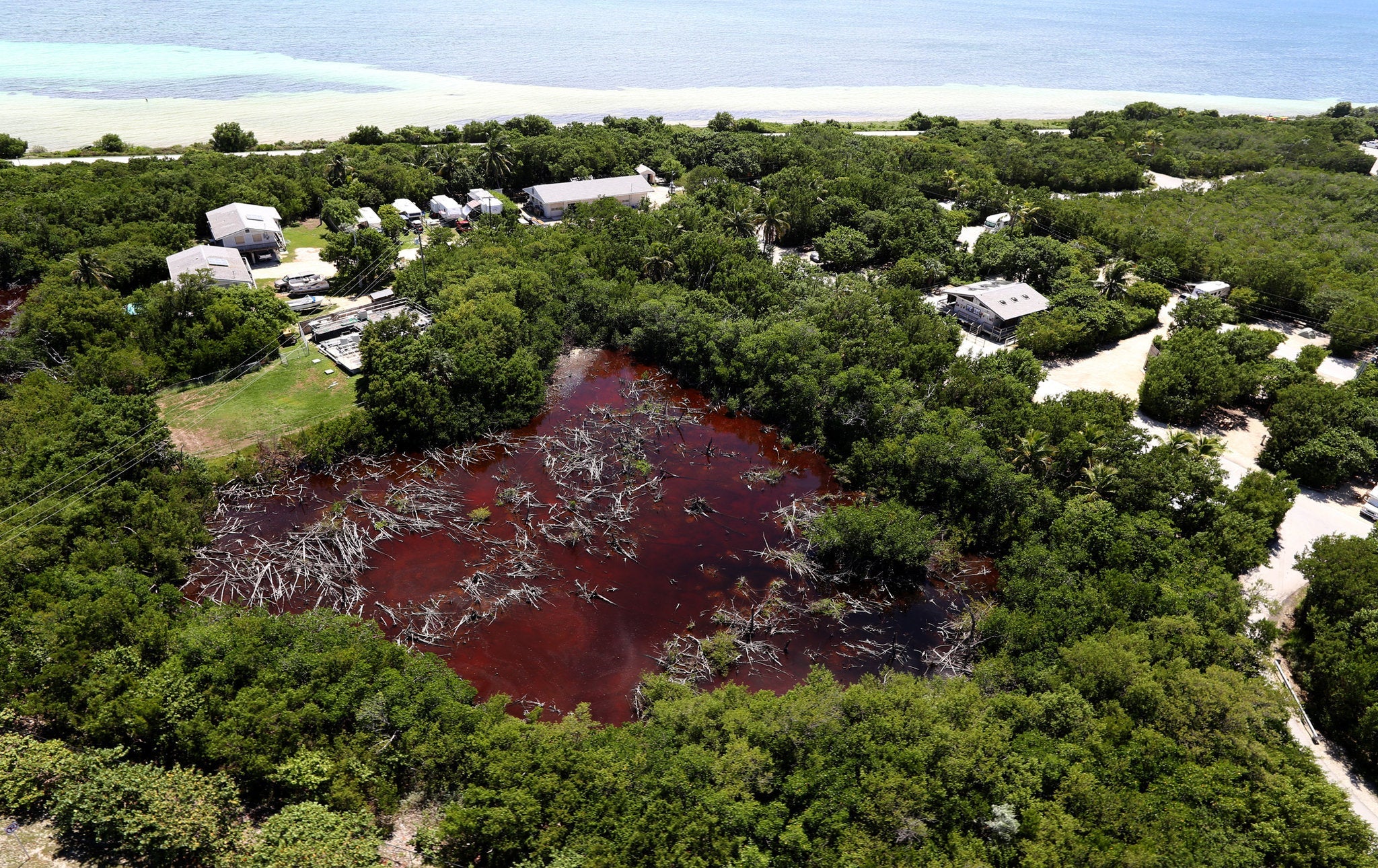 From Florida Swamps to Texas Heat: Choosing the Right Mosquito Control Plan for Your State