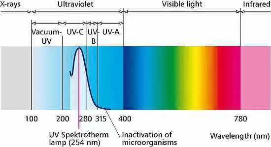 UV Lamp Buying Guide UV-C, UV-A, or UV-B — Which Wavelength Is the Real Germ-Killing Powerhouse?